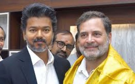 2 Cong MLAs to join Vijay cabinet, share power in TN after 59 yrs
