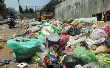 AP's Konaseema district set to implement plasma technology for garbage disposal