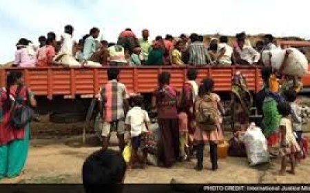 Judge leads rescue of nearly 1000 bonded workers