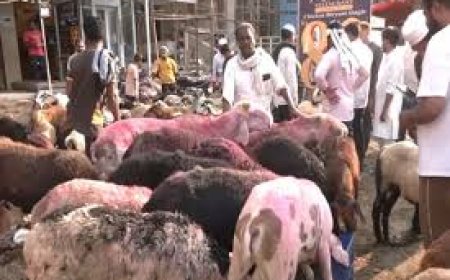 Refrain From Cow Slaughter: Assam Eid Committees Ahead Of Bakri Eid
