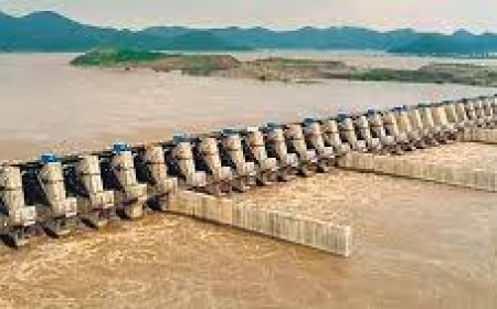 Special Chief Secretary directs officials to speed up Polavaram project works