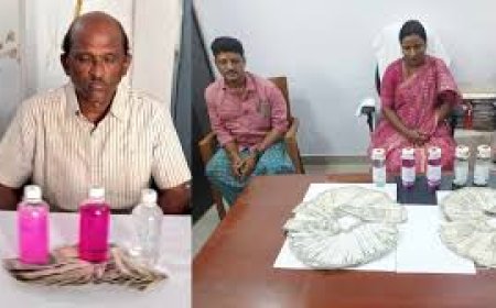 Telangana ACB arrests two govt servants, one private person in bribery cases