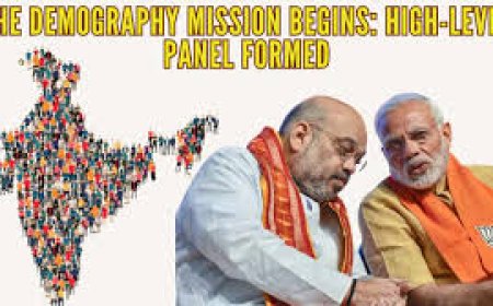 Centre forms high-level panel on demographic change