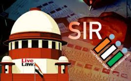 SC verdict on SIR: ECI can examine citizenship, deleted cases to go for adjudication