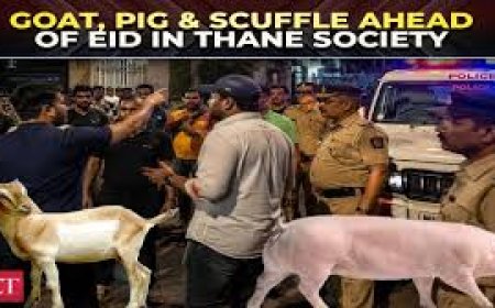 Tensions high in Thane housing society over Bakrid goat sacrifice