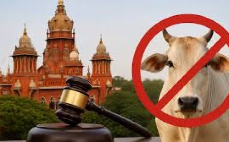 Why did the Madras High Court order a total ban on cow slaughter in Tamil Nadu ahead of Bakrid?
