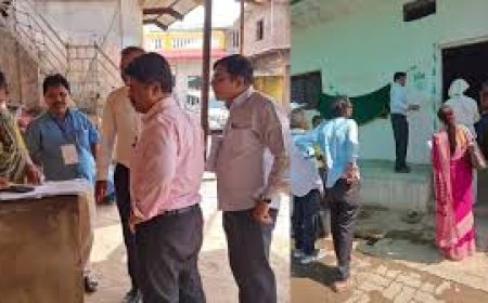 Census team assaulted in Pune; FIR registered