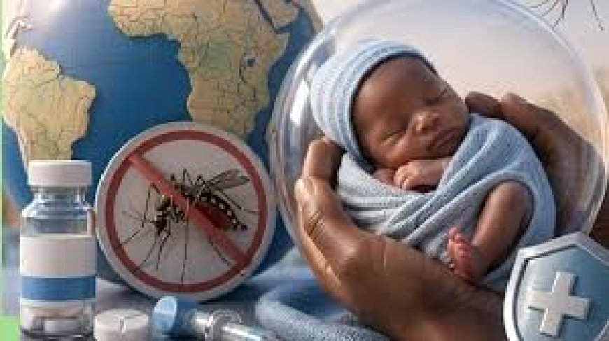 WHO approves first malaria drug for newborns; marks major step in fight against disease