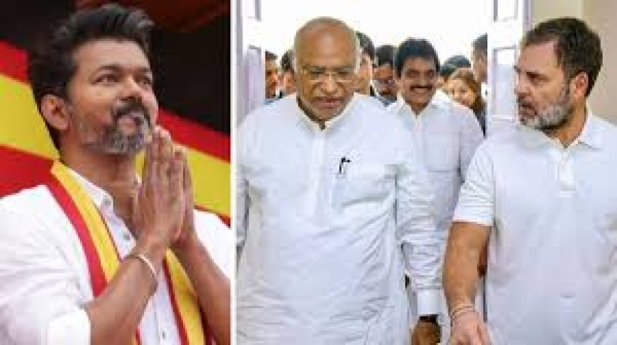 Congress Considers Support To Vijay's TVK, Tells State Unit To Take A Call