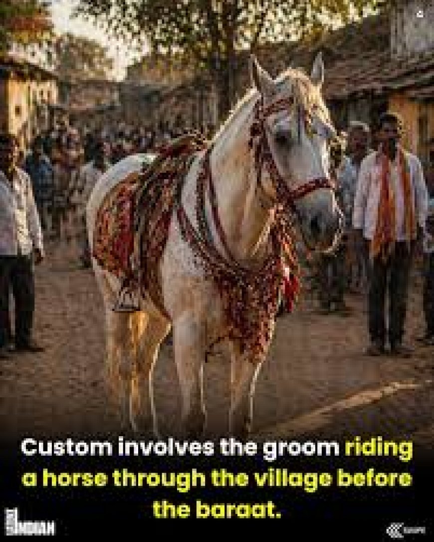 'Felt insulted': Dalit bride forced to get off horse, sparks outrage