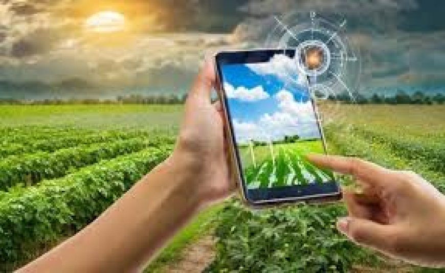 How India's New AI Weather Forecasts Will Help Farmers