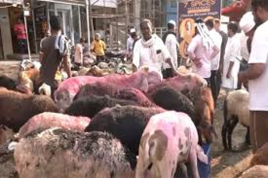 Refrain From Cow Slaughter: Assam Eid Committees Ahead Of Bakri Eid