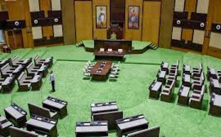 State Assemblies sat less, passed more bills in 2025: Report