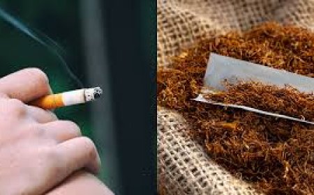 Breaking free from tobacco: Expert tips to quit and what happens when you do