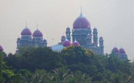 Telangana HC acquits Nizamabad man jailed for murder in 2017