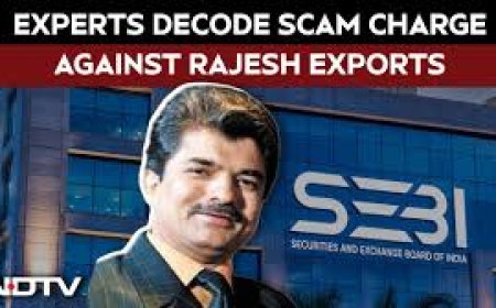 9 Major Charges In Sebi's Rajesh Exports Order