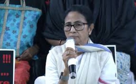 "Can Send Her To Assembly": Expelled Leader's 'Offer' For Mamata Banerjee