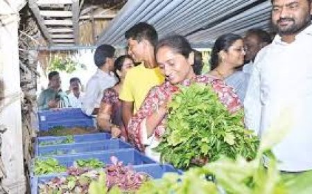 Savitha urges shift to organic diet 