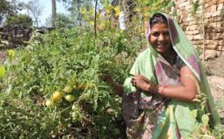 Savitha urges shift to organic diet 