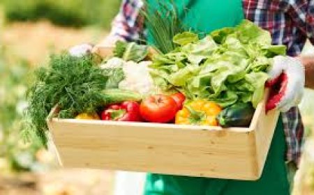 Savitha urges shift to organic diet 