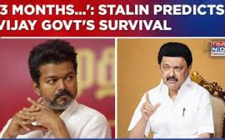 TVK govt may not last even three months: Stalin