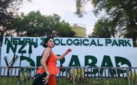 Over 24,000 visitors flock to Hyderabad Zoo on Sunday