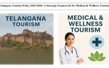 Telangana plans medical tourism push; forms special panel