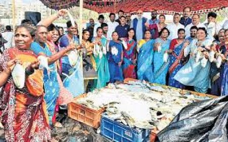 Four tonnes pompano haul showcases future of open-sea fish farming in Andhra