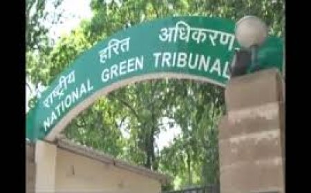 Green Panel Chair's Letter Sparks Storm Over Clearances In Madhya Pradesh