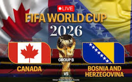 FIFA World Cup: Canada's Larin salvages 1-1 draw against Bosnia in Group B opener