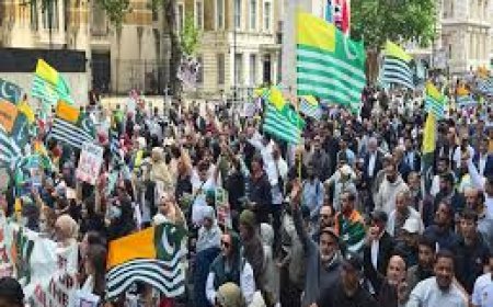 Why British Kashmiris Are Protesting Pakistani Forces In PoJK