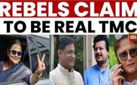 Rebel Trinamool MPs spark symbol war, claim mission to 'rectify' party