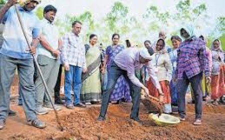 Jaladhara project brings fallow land under cultivation