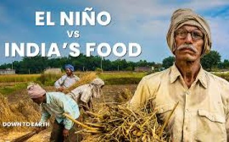 Focus on crop cultivation methods to mitigate El Nino: CM Naidu