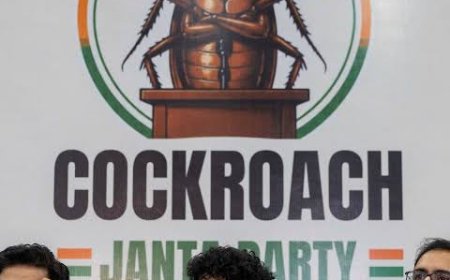'Won't leave Jantar Mantar until...': Cockroach Party founder