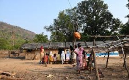 Tribal Woman Gang-Raped By Thieves In Front Of Son At Madhya Pradesh Farm 