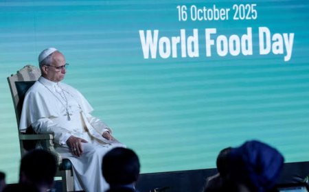 'Weapons move freely than food': Pope warns that bureaucracy is hindering global aid efforts