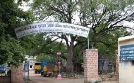 Corruption, prostitution allegations levelled against QQSUDA admin