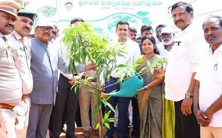 Prakasam Collector promises to solve tobacco procurement issues