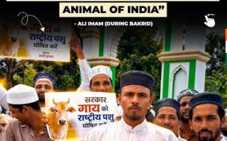 Muslim leader writes in blood to Modi to declare cow as 'Rashtra Mata'