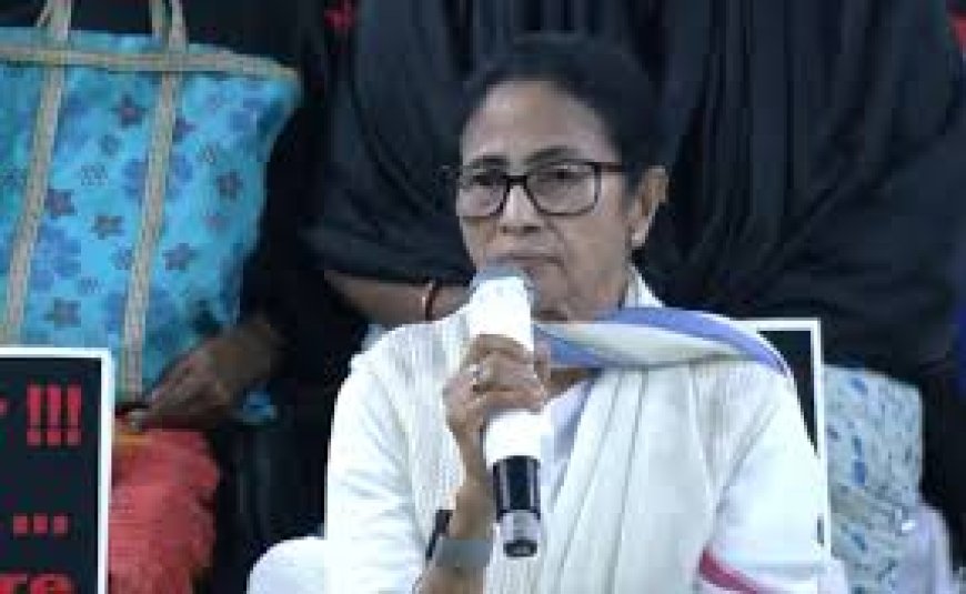 "Can Send Her To Assembly": Expelled Leader's 'Offer' For Mamata Banerjee
