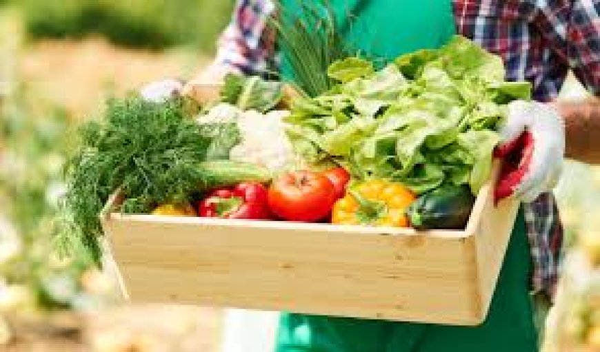 Savitha urges shift to organic diet 