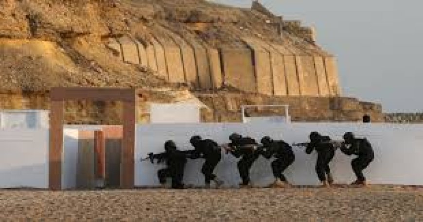 Pakistan's Major Anti-Terror Operation Kills 27 Militants