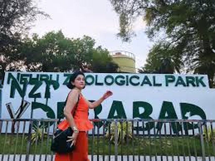 Over 24,000 visitors flock to Hyderabad Zoo on Sunday