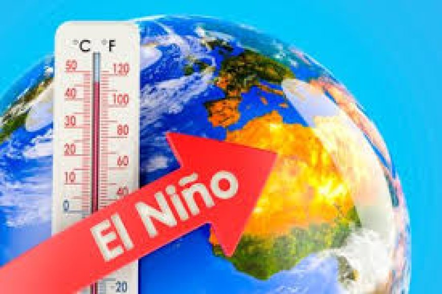 IMD declares El Nino over equatorial Pacific; conditions to strengthen during southwest monsoon