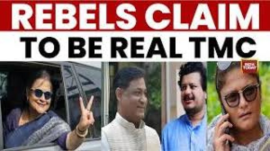 Rebel Trinamool MPs spark symbol war, claim mission to 'rectify' party