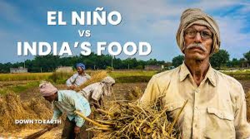 Focus on crop cultivation methods to mitigate El Nino: CM Naidu