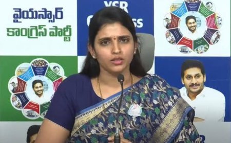 CM Naidu orders crackdown on abusive social media campaigns