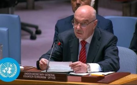 A terrorist is a terrorist': India urges united global action against terror at UN