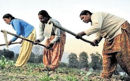 Telangana govt to challenge VB-G RAM G scheme in Supreme Court